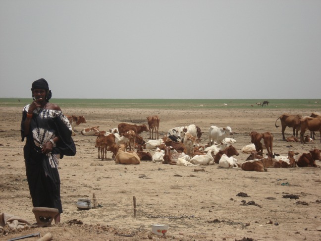 SPECIALE MALI: l’intervento CISV nel paese