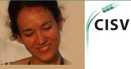 A Sevaré, un anno dopo.