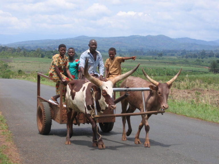 40 ANNI IN BURUNDI: Cooperare con la testa e con il cuore