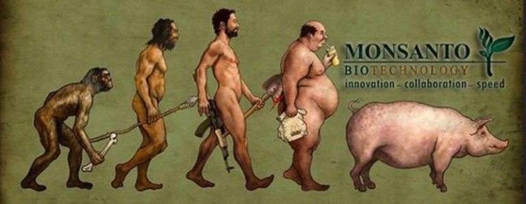 LEGGE MONSANTO: il popolo guatemalteco insegna…