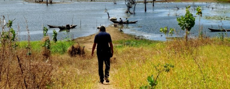 BRASILE A PASSO DI CIRANDA