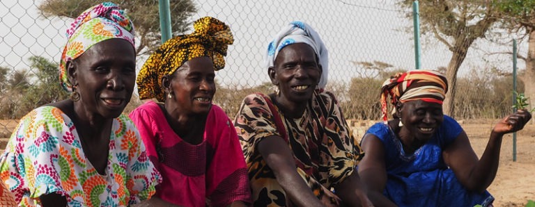 LE IMMAGINI DELLA COOPERAZIONE: COSA NE PENSANO I PROFESSIONISTI?