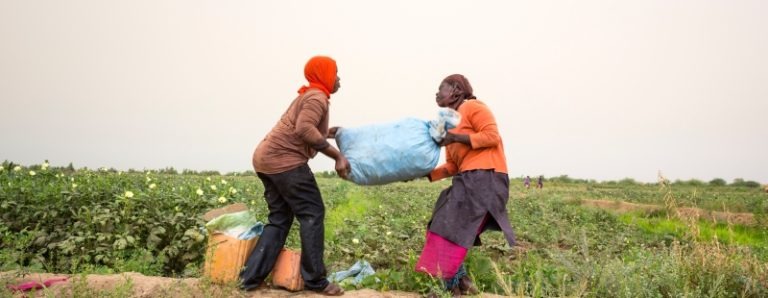I nuovi volontari in servizio civile sbarcano in Senegal