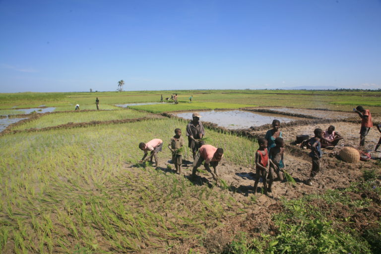 A.A.A. Responsabile per Haiti cercasi