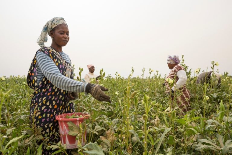 ABBIAMO RISO: le nuove date!