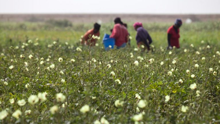 Il Senegal ai tempi del Covid-19