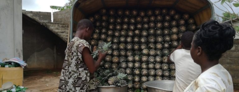 Come ti produco il succo d’ananas