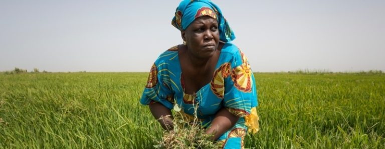 Thiès: l’impresa sociale che fa bene alla salute