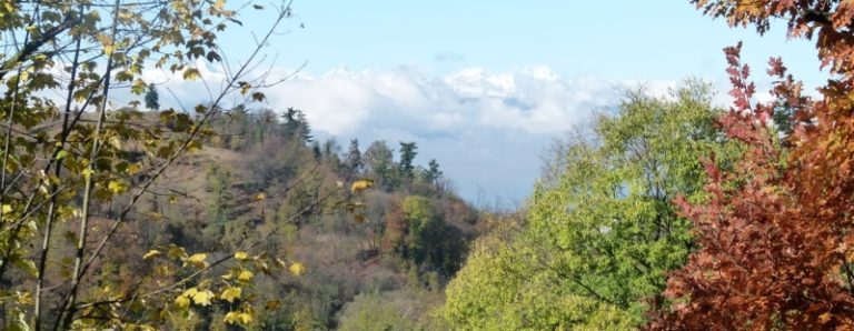 XIV Giornata del Creato