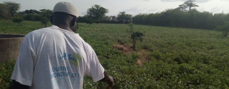 Il microcredito, volano per i piccoli imprenditori