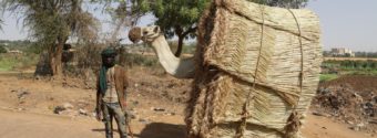 Niger fare impresa con i giovani