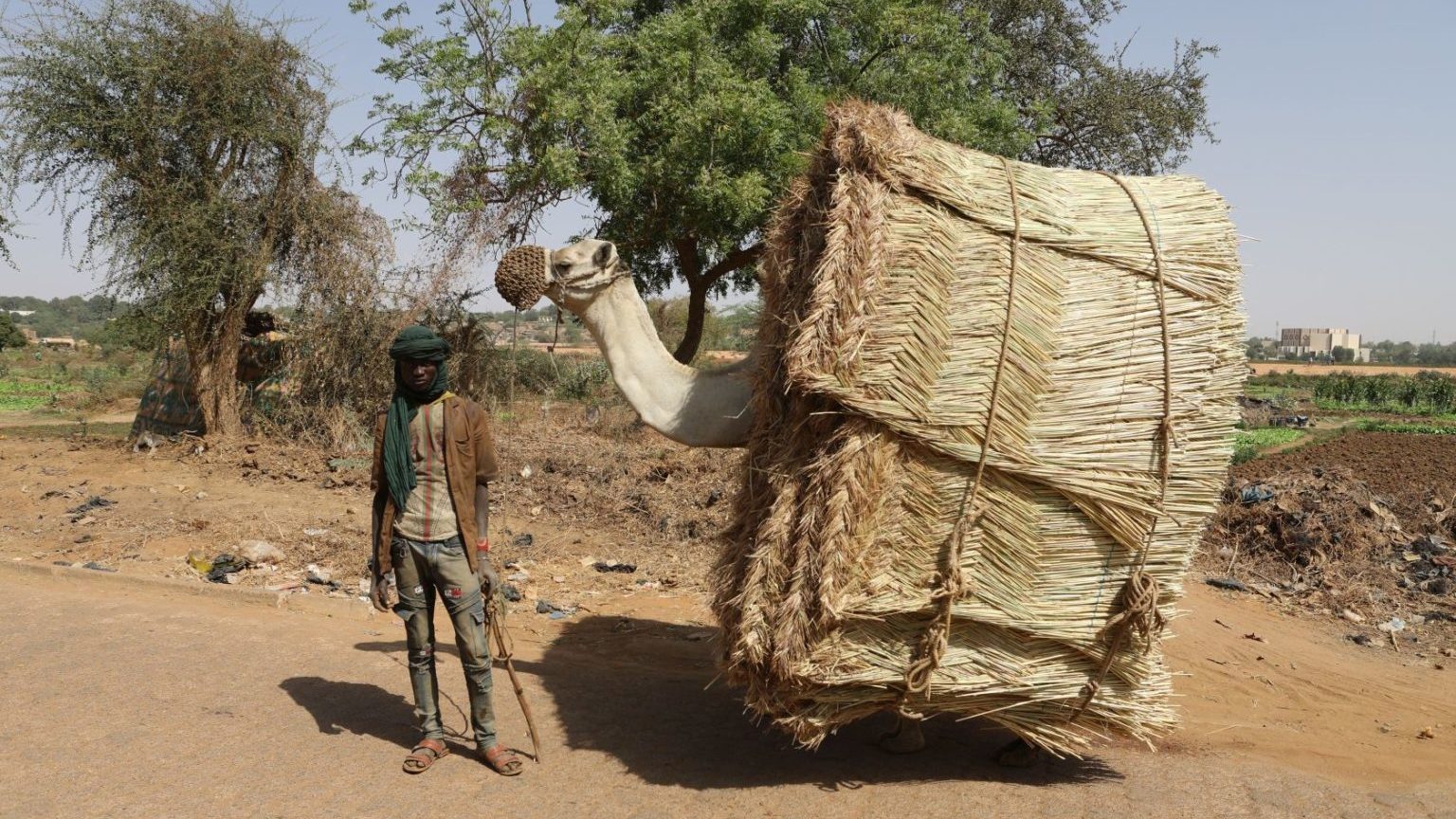 Niger fare impresa con i giovani