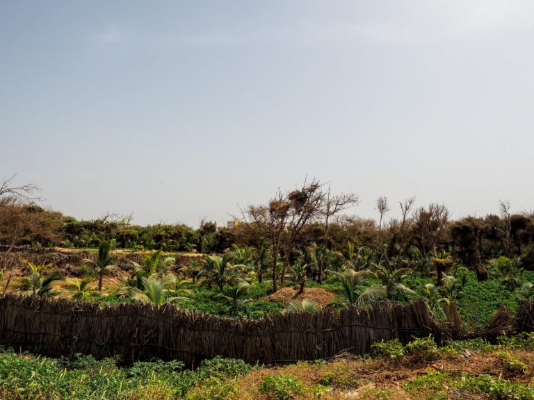 Il nuovo Atlante delle risorse naturali di Dakar