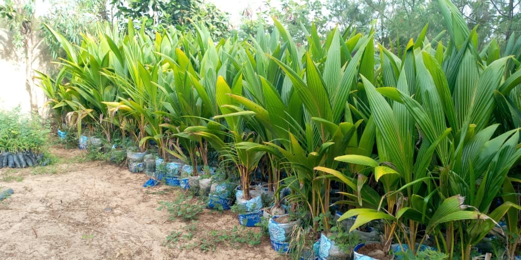 Atlante delle risorse ambientali della banlieue di Dakar