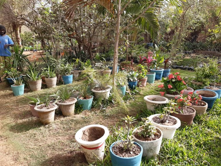 Impressioni di una missione in Senegal in tempo di Covid