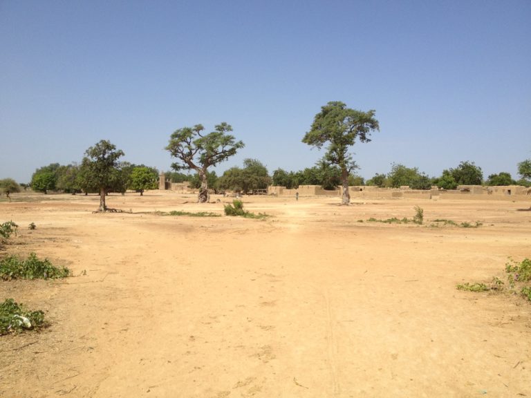 Mancanza di cibo e abbandono dei campi. Quali sfide per garantire la sicurezza alimentare in Mali?