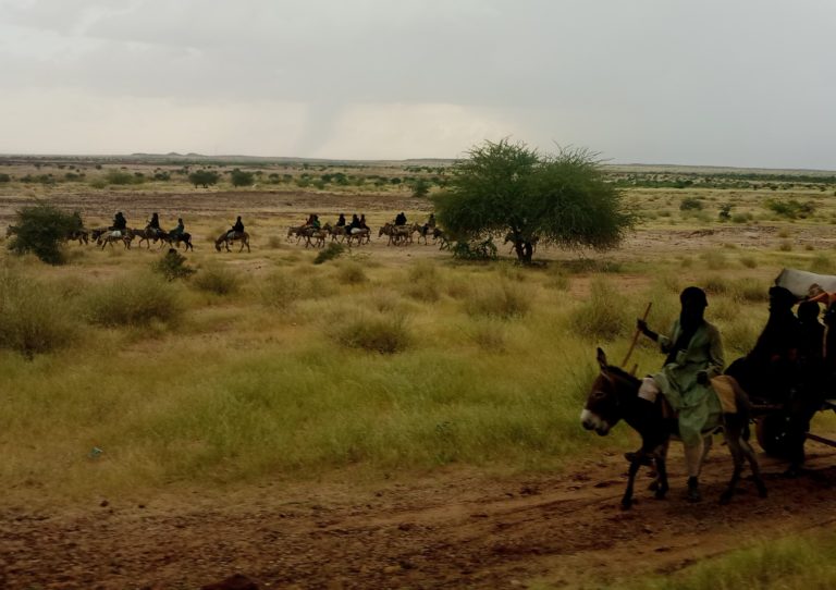 Niger: lo spettro di una crisi alimentare all’orizzonte
