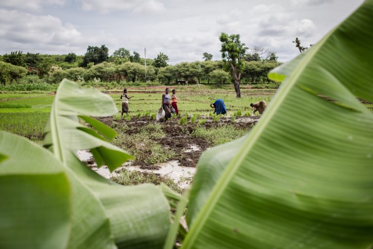 Tra energie rinnovabili e raccolta dei rifiuti.         Il Burkina Faso è già green.