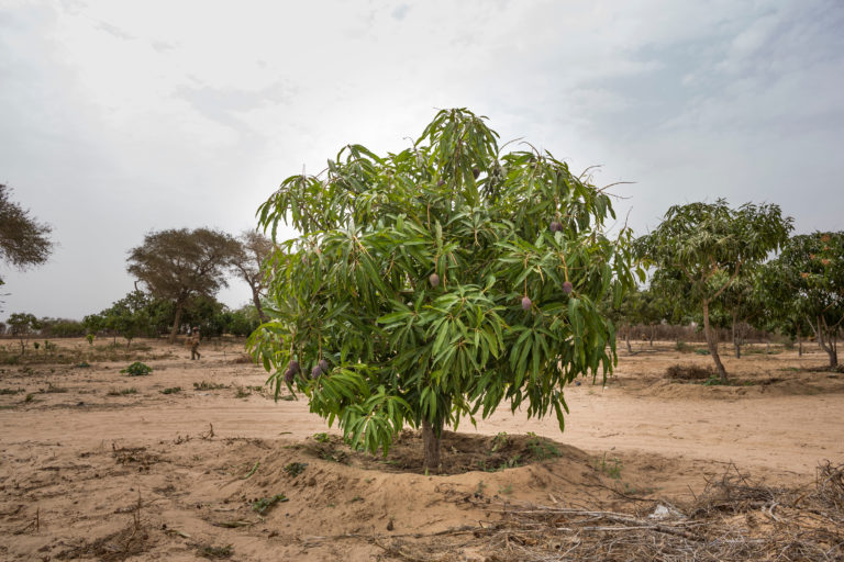 Doucement – L’UNICOO di Federica e Marialaura