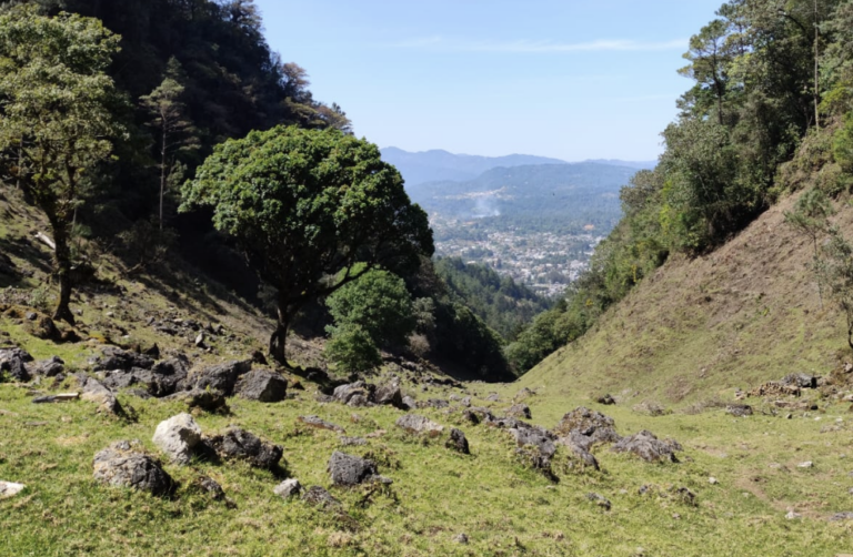 Radici di resistenza: la cosmovisione maya tra spiritualitá, lotta e cura