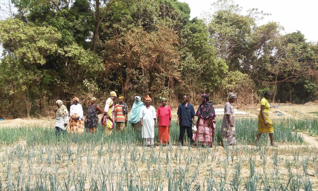 Vacancy – Cooperante in Guinea Conakry